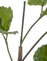 Тетрастигма ветвь де Люкс интерьерная в- 220 см 3/6