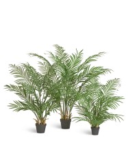 Пальма Арека Форест 140 см (18 веток) 1/1