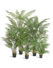 Пальма Арека Форест 140 см (18 веток) 1/1