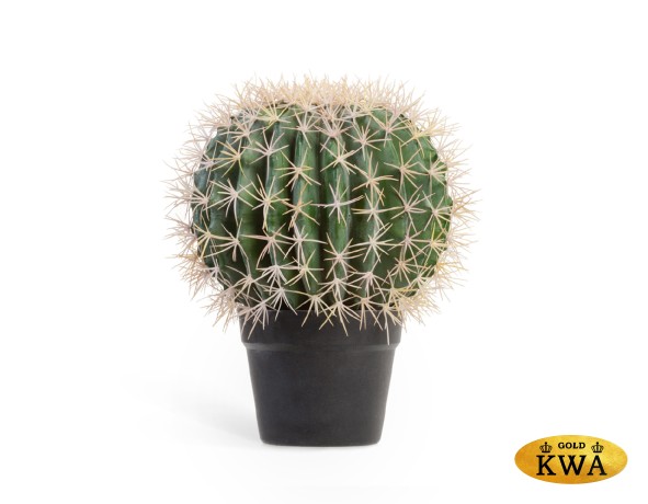 Кактус Баррель в-47, д-35 см 1/2