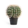 Кактус Баррель в-47, д-35 см 1/2