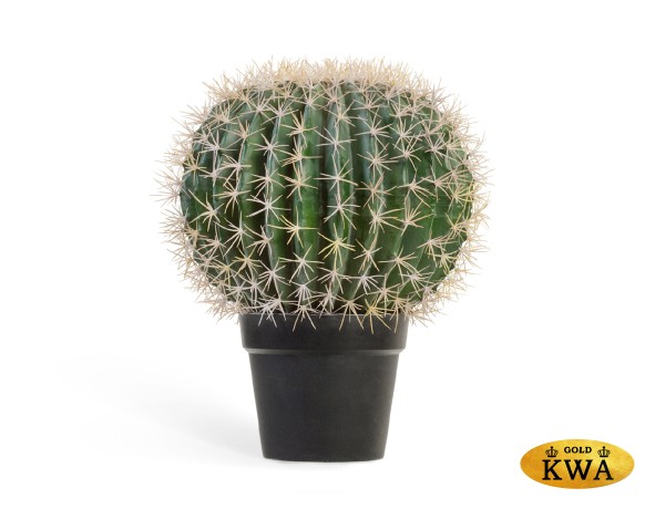 Кактус Баррель в-47, д-35 см 1/2