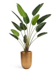 Стрелиция Style зелёная в-180 см 2/2