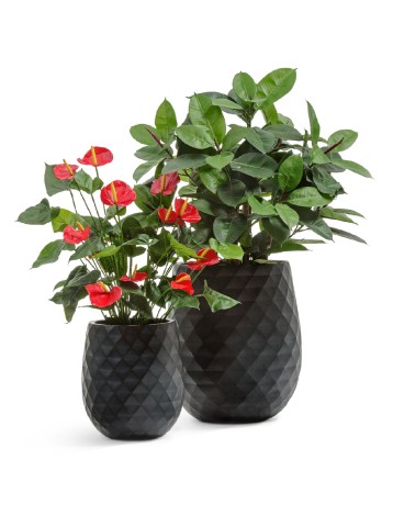 Кашпо TREEZ ERGO Diamond Округлая чаша Антрацит д-44, в-50 см