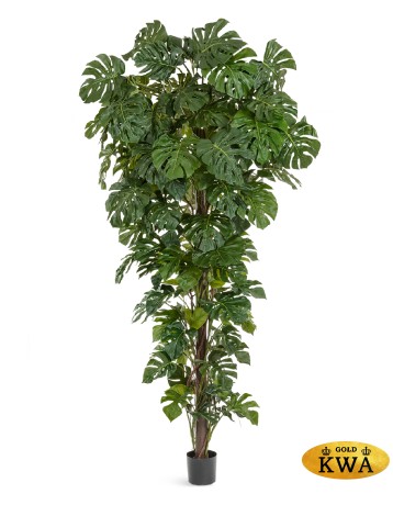 Монстера на стволе Гигантская в-290 см 1/1