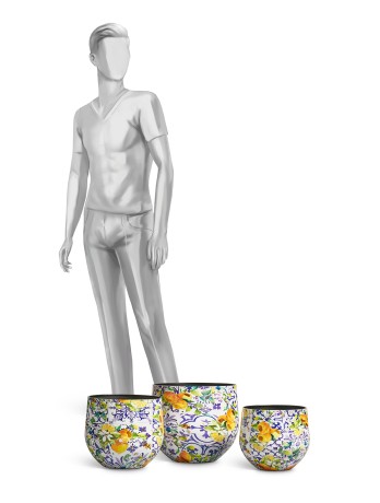 Кашпо TREEZ Effectory Savage Garden Чаша Capri в-23 см, д-23 см