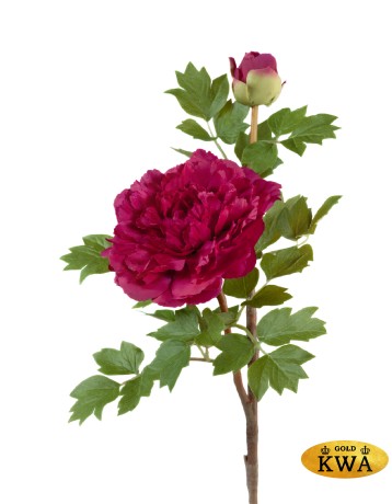 Пион бордовый ветвь малая в-35, д-11см 1цв,1бут 12/48