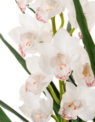 Орхидея Цимбидиум куст белый в-115 см 3 ветки с имитацией земли (без кашпо) (Sensitive Botanic) 1/1