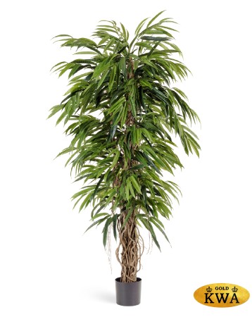 Лонгифолия лиана де люкс 180 см 2/2