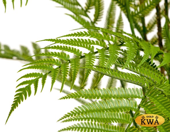 Папоротник Форест древовидный (пластик) в-160 см