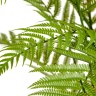 Папоротник Форест древовидный (пластик) в-160 см