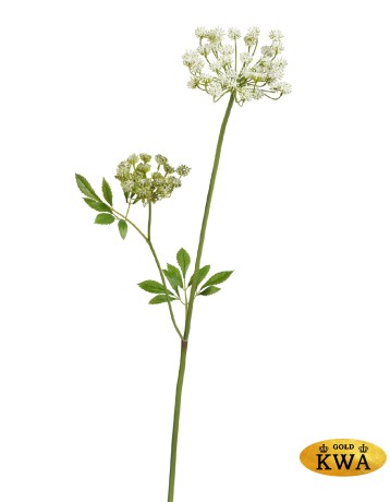 Анна Королевская Мидл Кружевная бело-зелёная в-70 см, 2 зонтика (5 и 10 см) 12/48