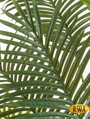 Пальма Арека Хризалидокарпус New в-180 см (Sensitive Botanic) 2/2