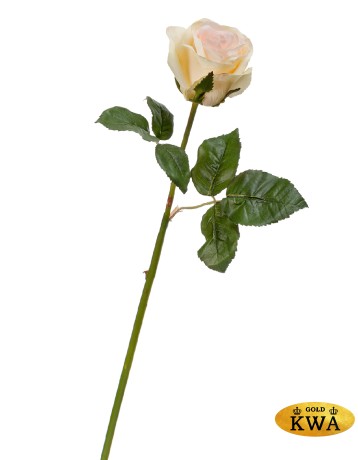 Роза Джулии нежно-персиковая с лимонным в-53 см 1цв в-6,д-8 см 12/144