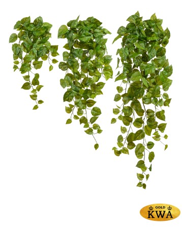 Потос Ауреум ампельный большой (Sensitive Botanic) в-55 см