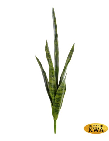 Сансевиерия куст зелёный в-70 см 12/120