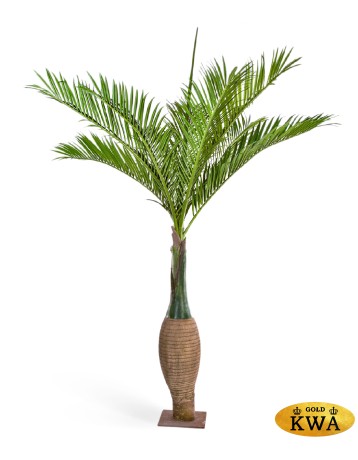 Бутылочная пальма Гигантская в-345 см (сборная)