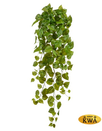 Потос Ауреум ампельный малый (Sensitive Botanic) в-45 см