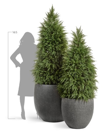 Кашпо TREEZ Effectory Stone большой округлый конус Тёмно-серый камень д-54 см, в-51 см