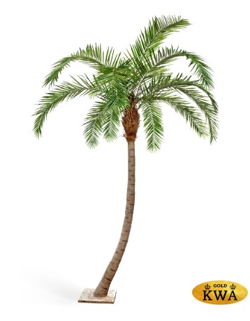 Гигантская изогнутая Финиковая пальма 3 м (сборная)