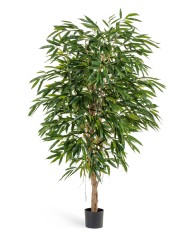 Лонгифолия Роял 180 см 2/2