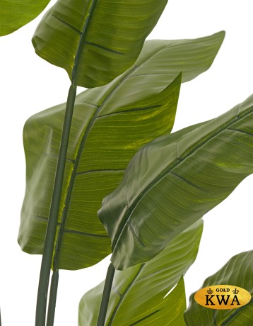 Стрелиция Traveller зелёная в-180 см (18 листов) 1/1