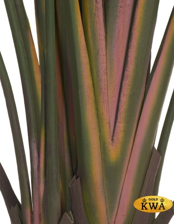 Стрелиция Traveller зелёная в-180 см (18 листов) 1/1