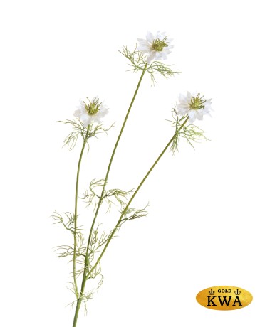 Нигелла белая в-59 см, 3цв д-4,5 см 24/192