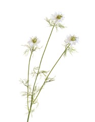 Нигелла белая в-59 см, 3цв д-4,5 см 24/192