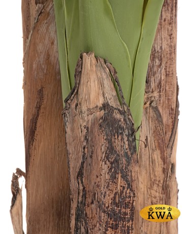 Банановое дерево в-210 см (20 листов и 3 ствола) (Sensitive Botanic) 1/1