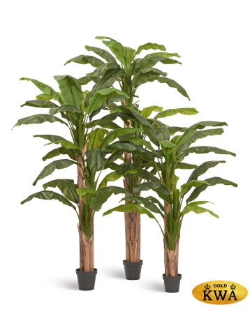 Банановое дерево в-210 см (20 листов и 3 ствола) (Sensitive Botanic) 1/1