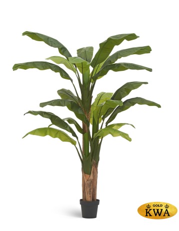 Банановое дерево в-210 см (20 листов и 3 ствола) (Sensitive Botanic) 1/1