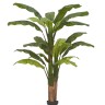 Банановое дерево в-210 см (20 листов и 3 ствола) (Sensitive Botanic) 1/1