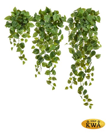 Филодендрон Сканденс ампельный средний (Sensitive Botanic) в-55 см