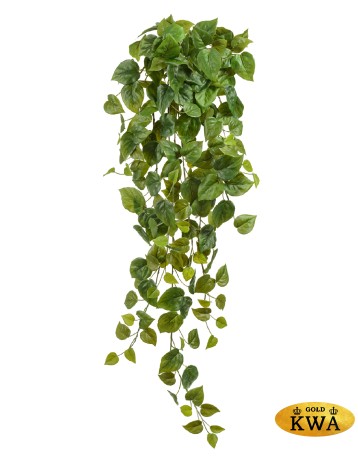 Филодендрон Сканденс ампельный средний (Sensitive Botanic) в-55 см