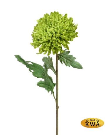 Хризантема Шамрок зелёная в-49 см, д-14 см 12/48