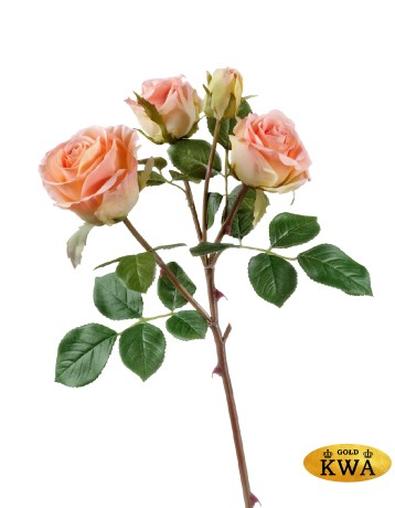 Роза Флорибунда ветвь розово-персиковая 3цв, 1бут в-60 см 12/48