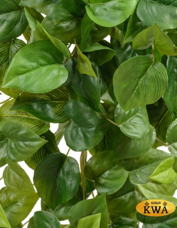 Филодендрон Сканденс ампельный малый (Sensitive Botanic) в-45 см