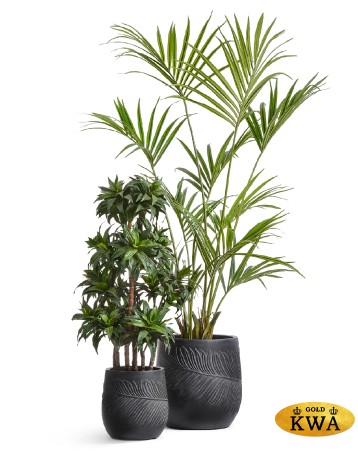 Кашпо TREEZ ERGO Nature Чаша Антрацит д-32, в-32 см