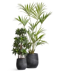 Кашпо TREEZ ERGO Nature Чаша Антрацит д-32, в-32 см