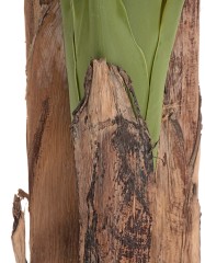 10.0157208N Банановое дерево в-245 см (26 листов и 3 ствола) 1/1