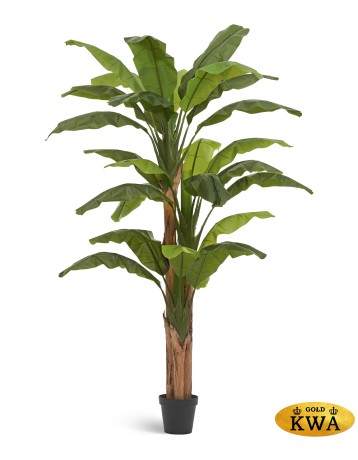 10.0157208N Банановое дерево в-245 см (26 листов и 3 ствола) 1/1