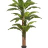 10.0157208N Банановое дерево в-245 см (26 листов и 3 ствола) 1/1