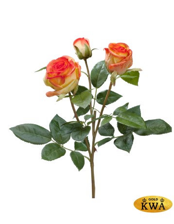 Роза Флорибунда Мидл ветвь золотисто-оранж в-36 см 2цв,1бут 12/72