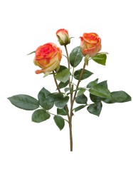 Роза Флорибунда Мидл ветвь золотисто-оранж в-36 см 2цв,1бут 12/72