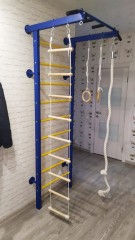 ДСК Семейный ПРОФ с турником (вер. лестница + канат + кольца)