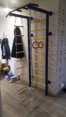 ДСК Семейный ПРОФ с турником (вер. лестница + канат + кольца)