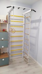 ДСК Семейный ПРОФ с турником (вер. лестница + канат + кольца)