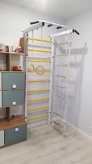 ДСК Семейный ПРОФ с турником (вер. лестница + канат + кольца)