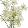 Анна Королевская ветвь  светло-зелёная 80 см